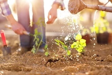 Gardening 1 Gardening 1